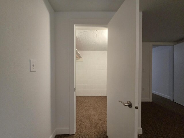 4211 State Highway 173, Nekoosa, WI 54457 - corridor featuring carpet flooring and baseboards