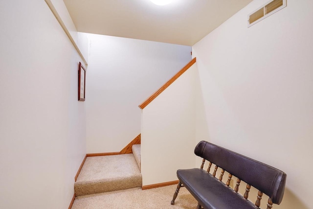 741 Kensington Sq, Stoughton, WI 53589 - stairway with carpet flooring and baseboards