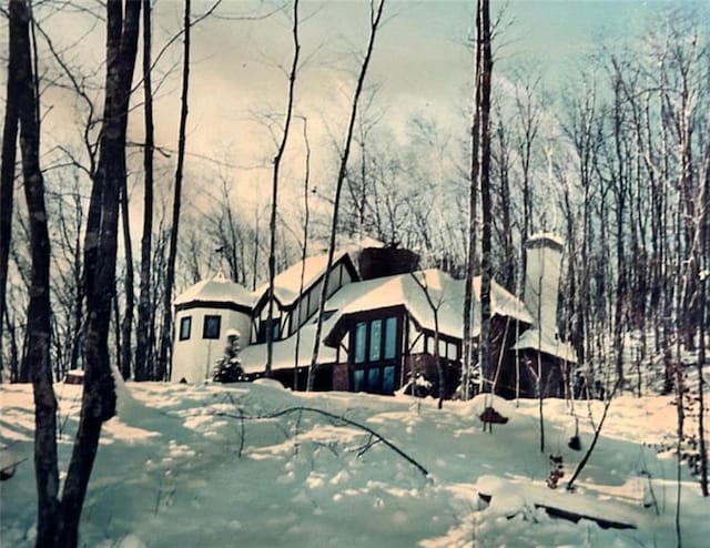 16680W Raining Tree Rd, Stone Lake, WI 54876 - view of snow covered rear of property