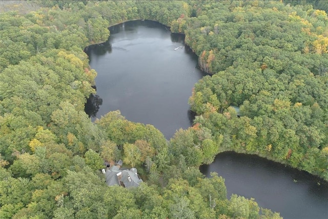 16680W Raining Tree Rd, Stone Lake, WI 54876 - aerial view of property and surrounding area with a forest and a nearby body of water