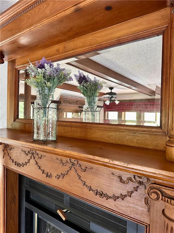 16680W Raining Tree Rd, Stone Lake, WI 54876 - detailed view of ceiling fan