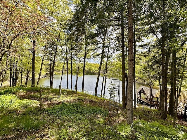 16680W Raining Tree Rd, Stone Lake, WI 54876 - water view