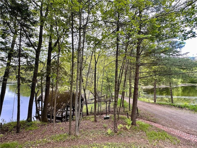16680W Raining Tree Rd, Stone Lake, WI 54876 - water view