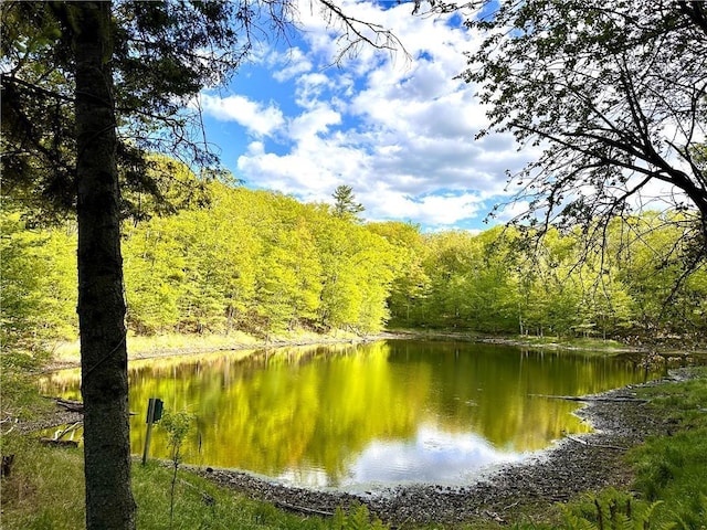 16680W Raining Tree Rd, Stone Lake, WI 54876 - water view with a heavily wooded area