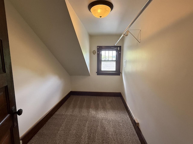 3400 Vine St, Stevens Point, WI 54481 - bonus room with baseboards and carpet floors