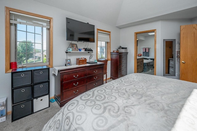 217 Steeple Ct, Johnson Creek, WI 53038 - carpeted bedroom with lofted ceiling and ensuite bath