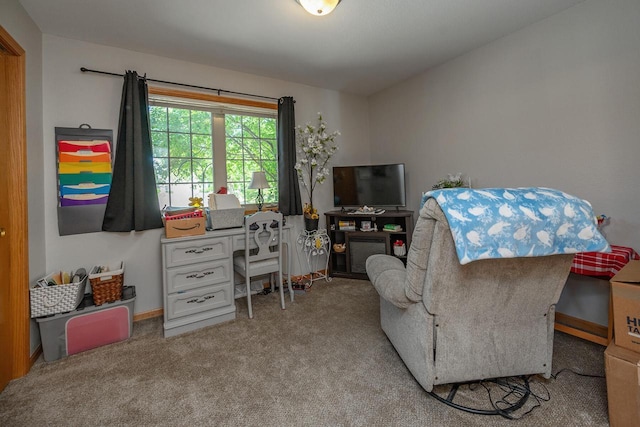 217 Steeple Ct, Johnson Creek, WI 53038 - carpeted home office featuring baseboards