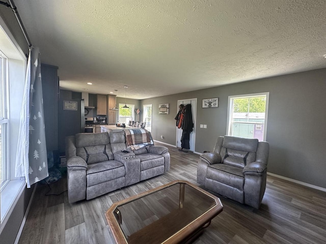 916 S Madison St Unit 9, Waupun, WI 53963 - living area featuring a textured ceiling, dark wood-type flooring, and healthy amount of natural light
