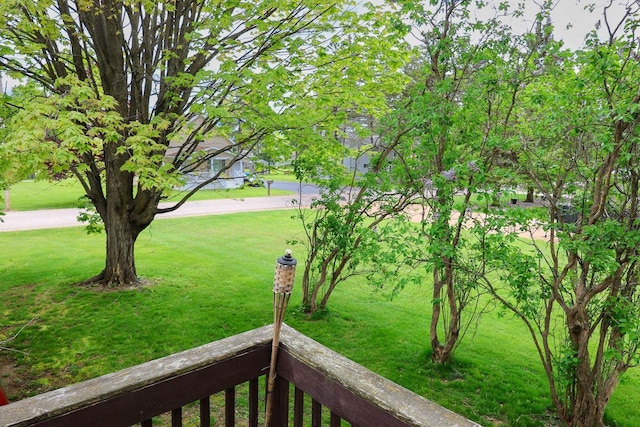1133 Smith Ave, Antigo, WI 54409 - view of grassy yard