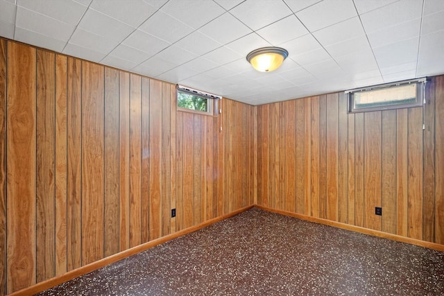 15 Wilson Ave, Fort Atkinson, WI 53538 - below grade area featuring plenty of natural light, wooden walls, and carpet