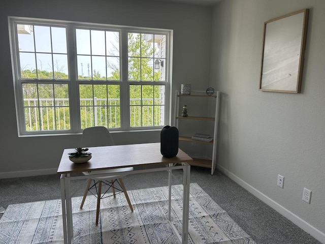 W141N9978 Seven Pines Way Unit 204, Germantown, WI 53022 - office with carpet and baseboards