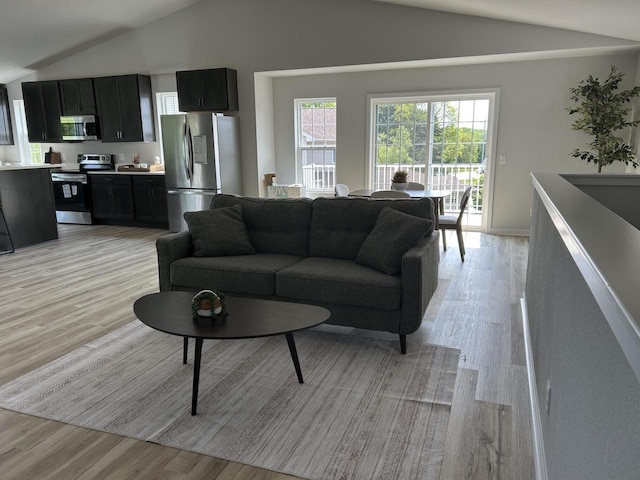 W141N9978 Seven Pines Way Unit 204, Germantown, WI 53022 - living area with vaulted ceiling and light wood finished floors