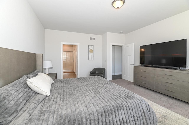 704 River Ridge Drive, Waterford, WI 53185 - carpeted bedroom with ensuite bath