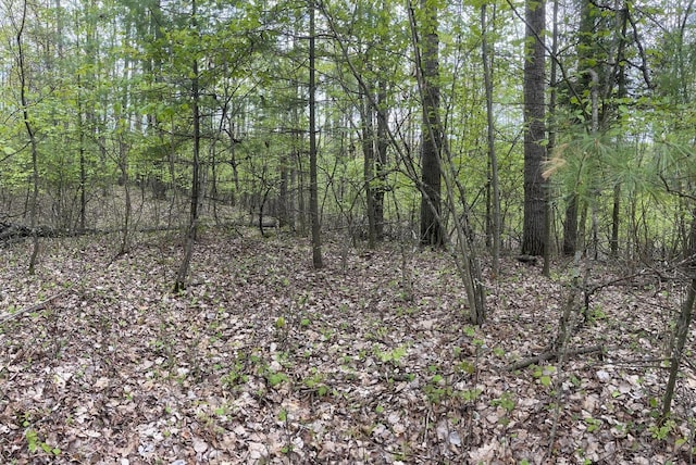 LT43 Menominee Woods Dr, Wausaukee, WI 54177