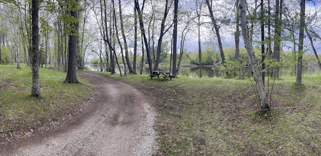 LT43 Menominee Woods Dr, Wausaukee, WI 54177