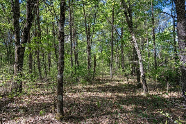 LOT2 Aroma Ln, Necedah, WI 54646