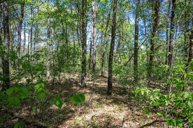LOT2 Aroma Ln, Necedah, WI 54646