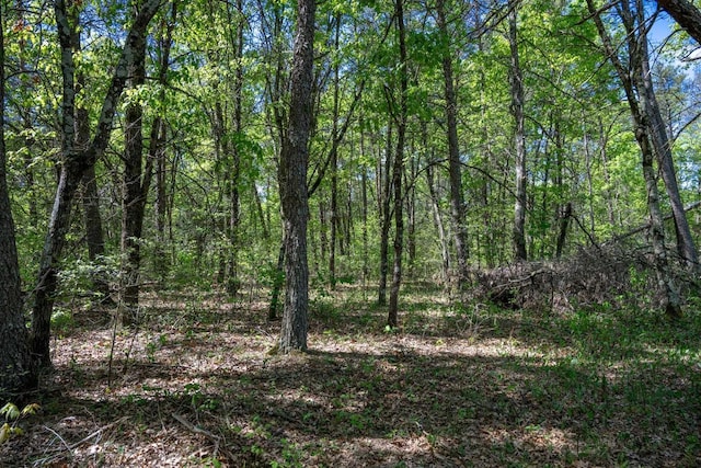 LOT2 Aroma Ln, Necedah, WI 54646