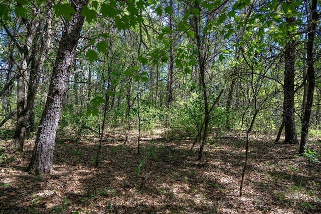 LOT2 Aroma Ln, Necedah, WI 54646