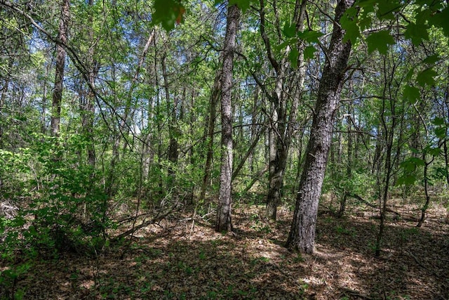LOT2 Aroma Ln, Necedah, WI 54646
