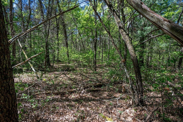 LOT2 Aroma Ln, Necedah, WI 54646