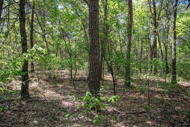 LOT2 Aroma Ln, Necedah, WI 54646