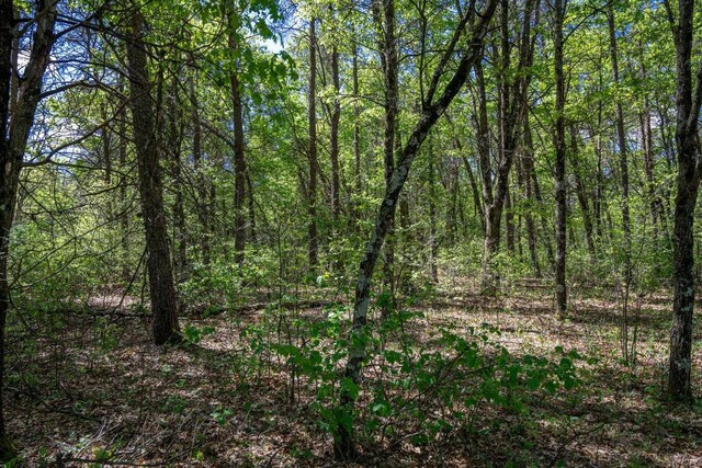 LOT2 Aroma Ln, Necedah, WI 54646