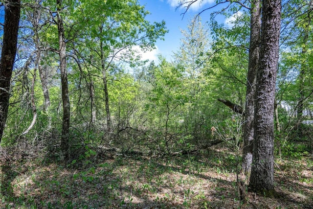 LOT2 Aroma Ln, Necedah, WI 54646