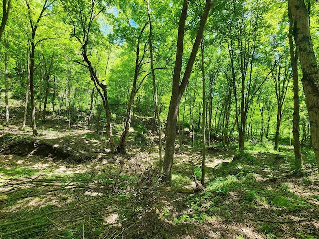13486 Gurnsey Rd, Ferryville, WI 54628