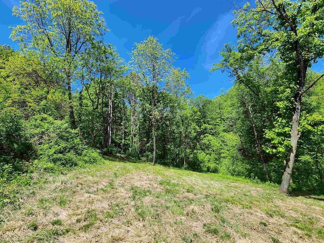 13486 Gurnsey Rd, Ferryville, WI 54628