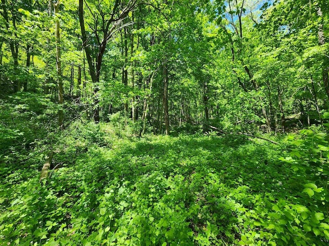 13486 Gurnsey Rd, Ferryville, WI 54628