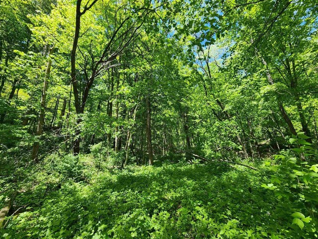 13486 Gurnsey Rd, Ferryville, WI 54628