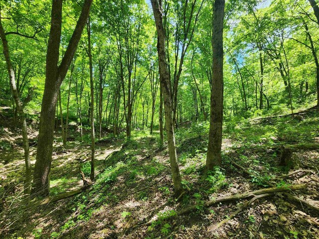 13486 Gurnsey Rd, Ferryville, WI 54628