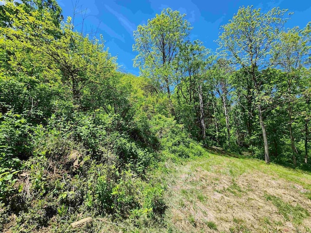 13486 Gurnsey Rd, Ferryville, WI 54628