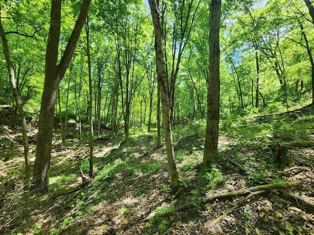 13486 Gurnsey Rd, Ferryville, WI 54628