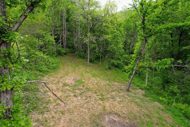 13486 Gurnsey Rd, Ferryville, WI 54628