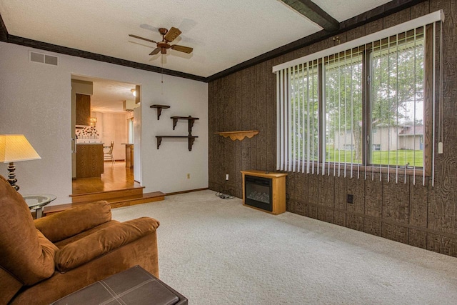 714 S Randolph St, Cuba City, WI 53807 - living room with a ceiling fan, carpet floors, ornamental molding, a textured ceiling, and baseboards