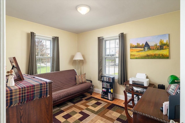403 N Rock Ave, Viroqua, WI 54665 - bedroom featuring multiple windows, baseboards, and light wood-style floors