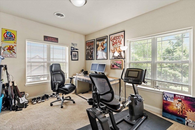 1300 School St Unit 209, Sun Prairie, WI 53590 - office space featuring plenty of natural light, carpet, and baseboards