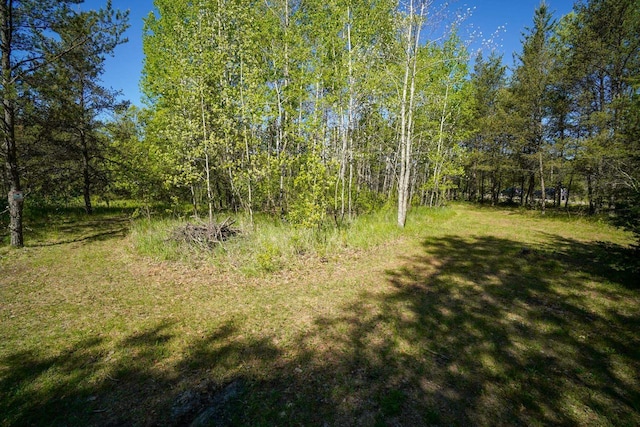 1.40acres Buckeye, Necedah, WI 54646
