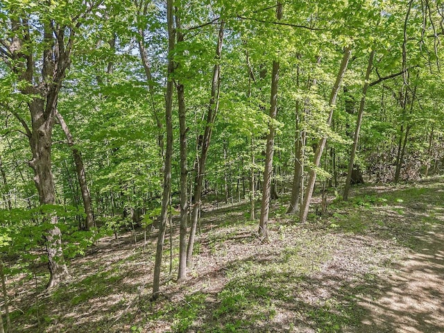 L10-13 Eggbrecht Rd, La Valle, WI 53941