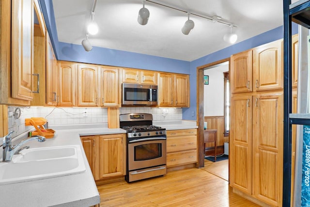 202 Lake St, Mount Horeb, WI 53572 - kitchen with stainless steel appliances, a sink, rail lighting, light wood-style floors, and light countertops