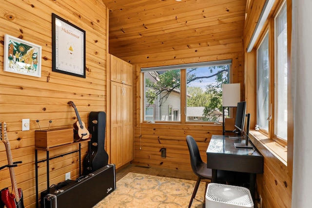202 Lake St, Mount Horeb, WI 53572 - office space with wood walls and light wood-style floors