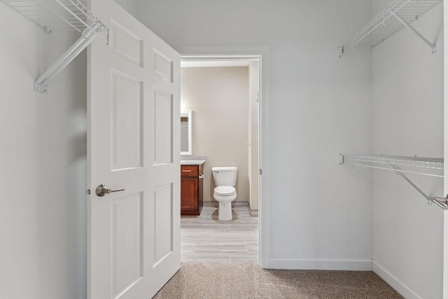 1512 Lake St, Baraboo, WI 53913 - walk in closet featuring light carpet