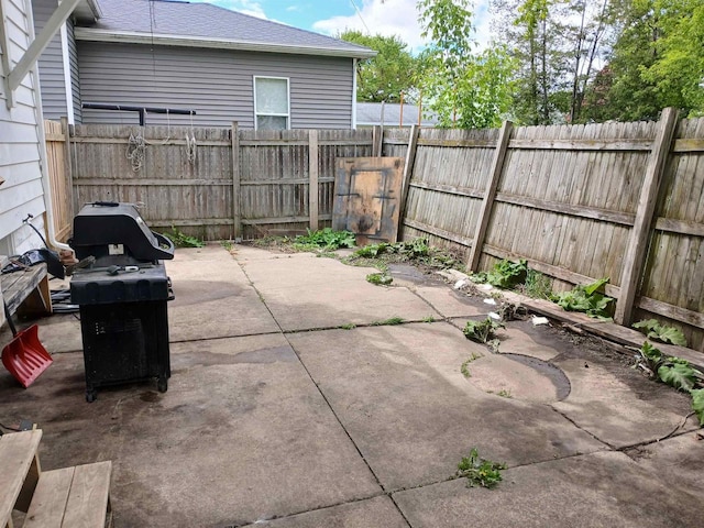 206 W Winnebago St, Appleton, WI 54911 - fenced backyard with a patio and a grill