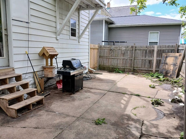 206 W Winnebago St, Appleton, WI 54911 - view of patio / terrace with area for grilling and entry steps