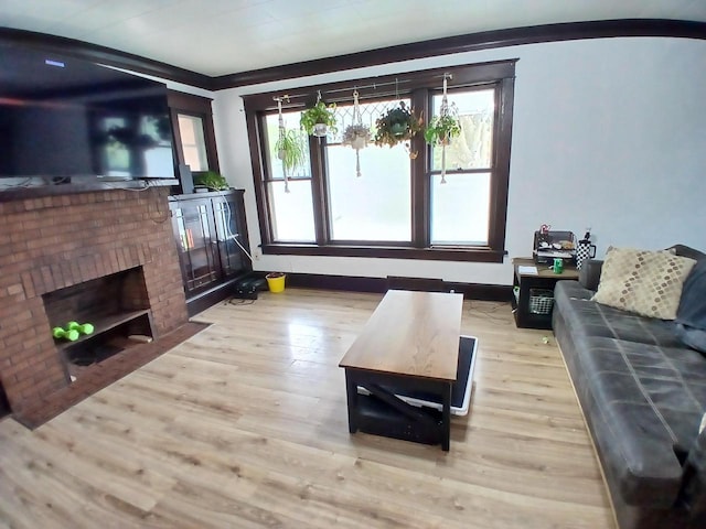 206 W Winnebago St, Appleton, WI 54911 - living room with a fireplace, plenty of natural light, and wood finished floors