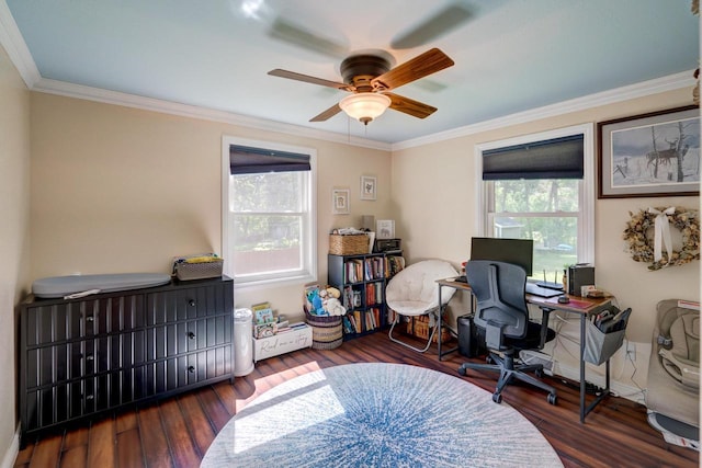 1621 W Crystal Dr, Edgerton, WI 53534 - office space featuring healthy amount of natural light, crown molding, wood finished floors, and ceiling fan