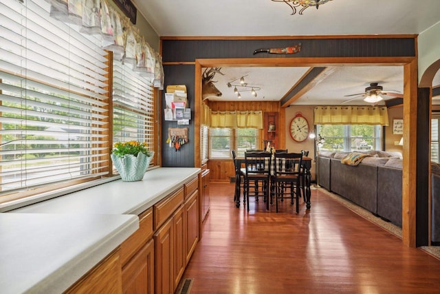60 Madison Ave, Port Edwards, WI 54469 - dining space featuring wood finished floors, a ceiling fan, and wood walls