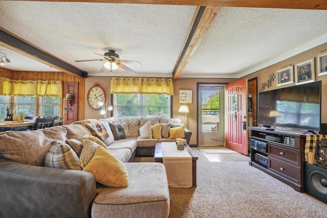 60 Madison Ave, Port Edwards, WI 54469 - carpeted living area featuring healthy amount of natural light, a textured ceiling, a ceiling fan, and wooden walls